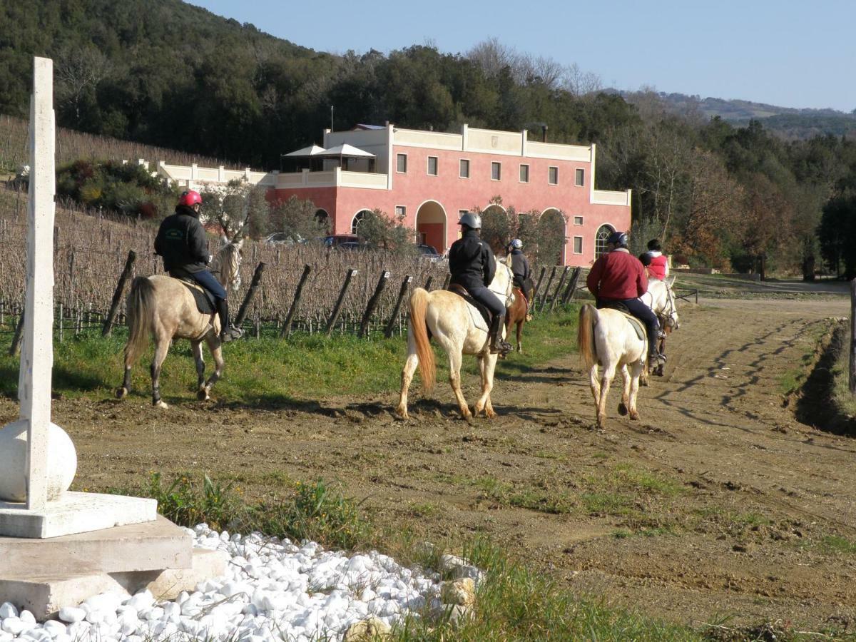 Tenuta Il Sassone - Wine&Food Massa Marittima Zewnętrze zdjęcie