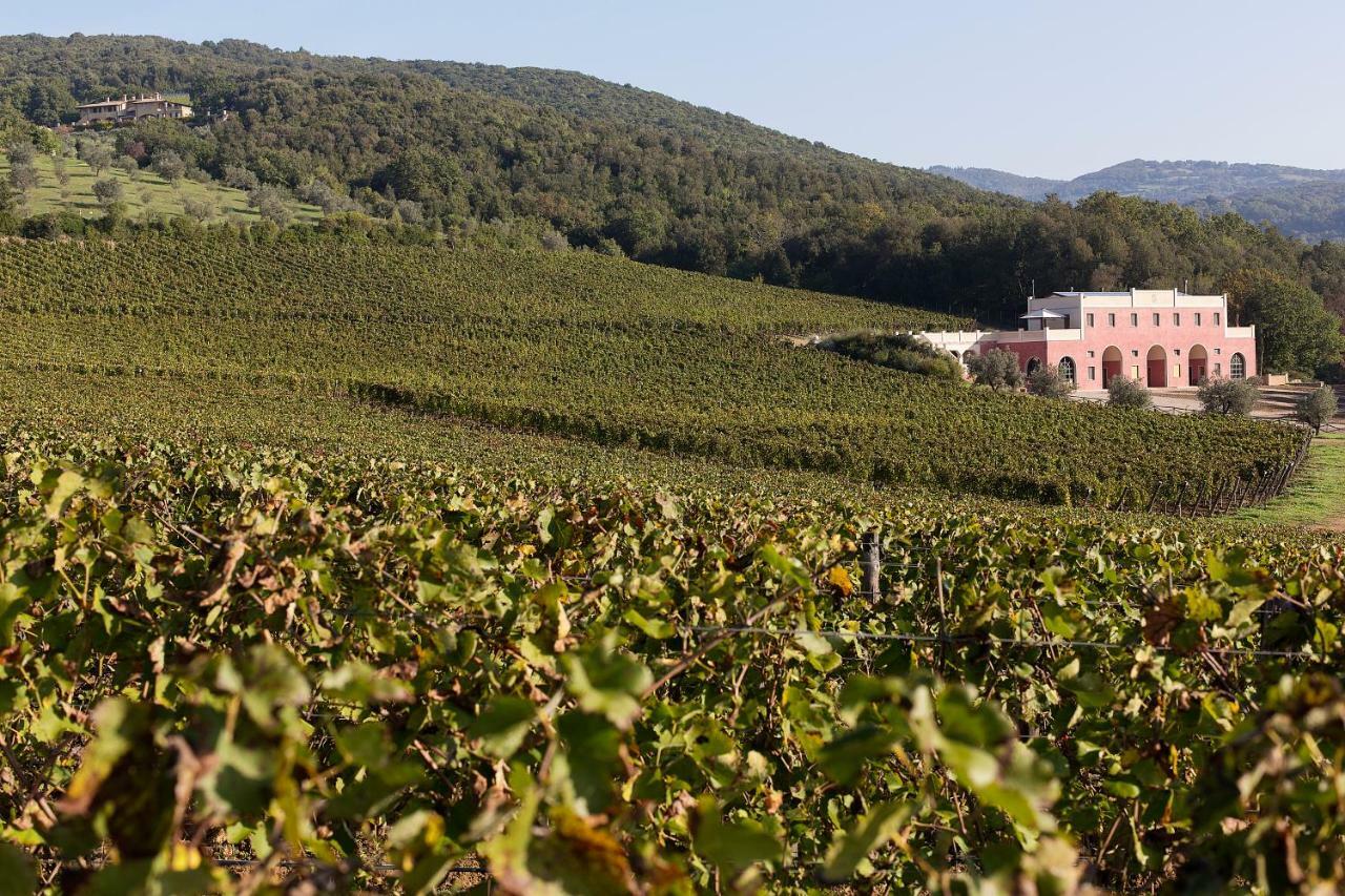 Tenuta Il Sassone - Wine&Food Massa Marittima Zewnętrze zdjęcie