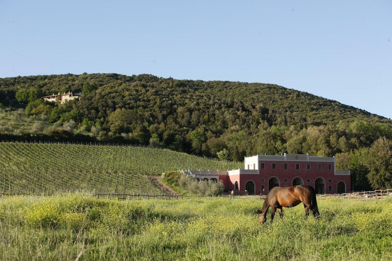 Tenuta Il Sassone - Wine&Food Massa Marittima Zewnętrze zdjęcie